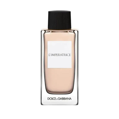 DOLCE & GABBANA